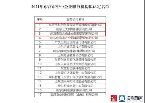 東營(yíng)高新區(qū)再添新翼 三家市級(jí)中小企業(yè)服務(wù)機(jī)構(gòu)獲認(rèn)定，聚焦計(jì)算機(jī)軟硬件開發(fā)與銷售