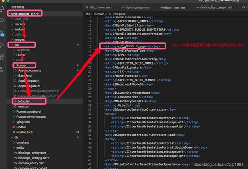 Flutter開發(fā)中設(shè)置iOS應(yīng)用名稱與圖標(biāo) 從配置到發(fā)布的完整指南
