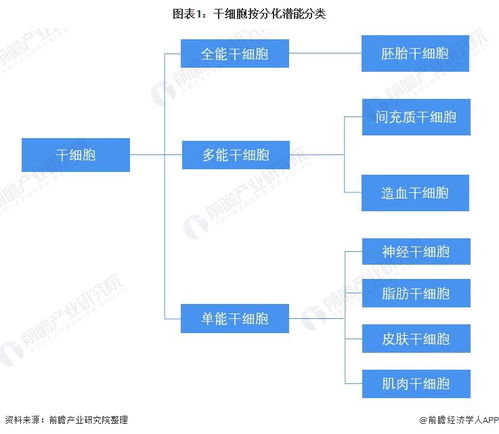 預(yù)見2022 中國(guó)干細(xì)胞醫(yī)療產(chǎn)業(yè)全景圖譜——產(chǎn)業(yè)鏈、競(jìng)爭(zhēng)格局與前景展望